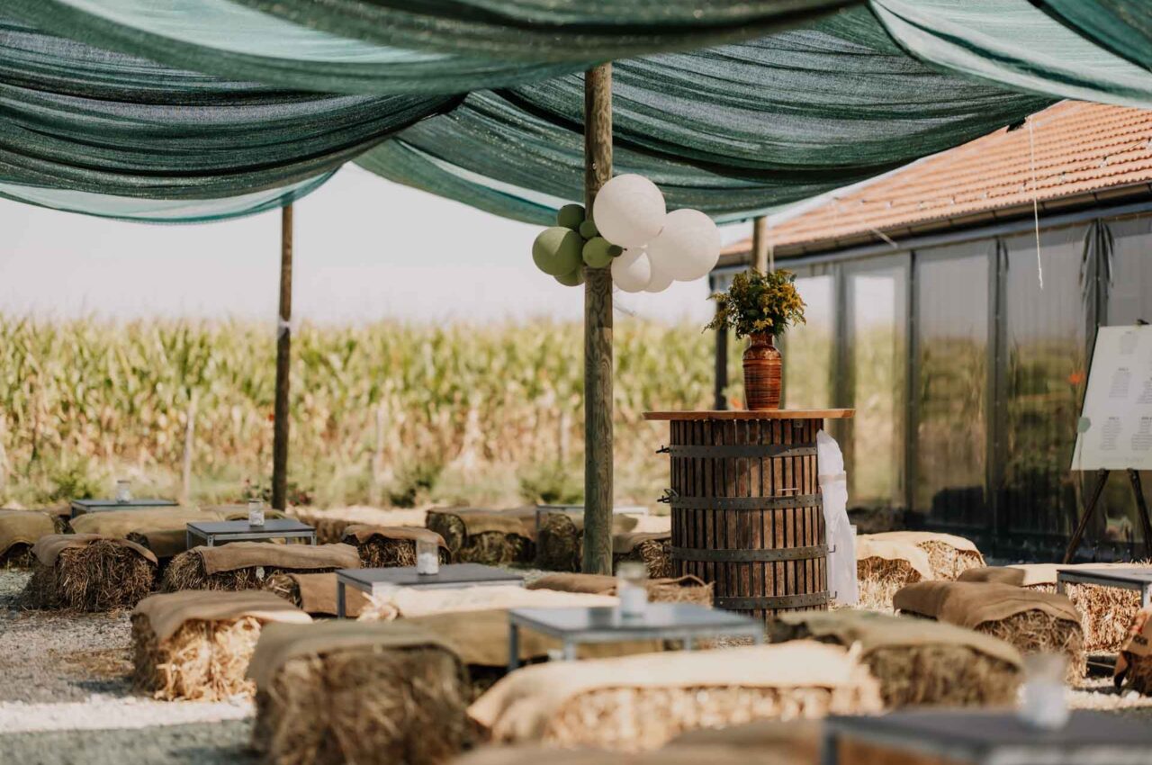 ZCF_2344